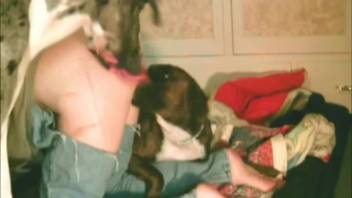 Canine vigorously penetrated my spouse from behind in doggy position