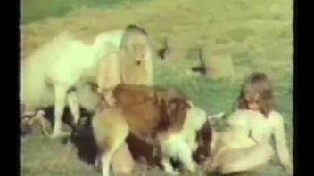 Two seductive women are indulging in filthy encounters with dogs outdoors