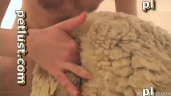 Ewe is ass-fucked by deviant hobbyist farmer