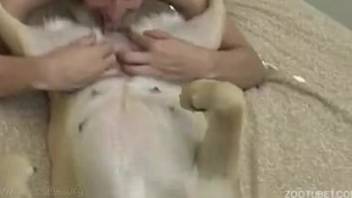 Pale bitch receives a good pounding in her narrow backdoor