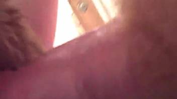 Close-up shot where a guy thrusts his dick into the furry opening of a female dog