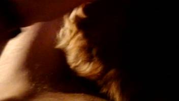 Guy thrusts into hairy house animal from the rear in homemade video
