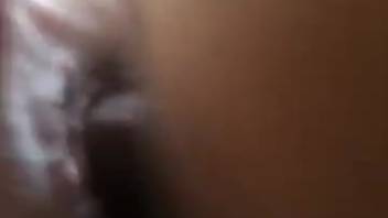 Guy screwing his pet's snug vaginal opening doggy style