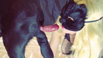 Blonde in a mask enjoying time with a well-endowed black canine