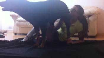 Ebony canine aggressively pounding a bestiality-obsessed teen
