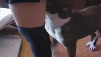 Sloppy homemade sex video with perverted animal-fetish girls