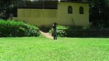 Latina babe thrusts the massive horse cock deep into her snatch