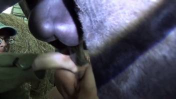 Blonde zoophilia enthusiast screwed while bound
