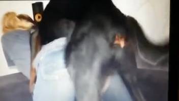 Canine penetrates nude female and ejaculates on her buttocks
